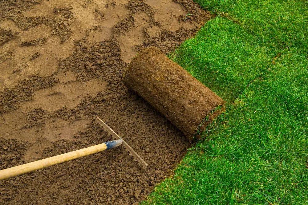Rake prepping soil for sodding lawn