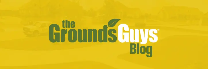 The Grounds Guy Blog.