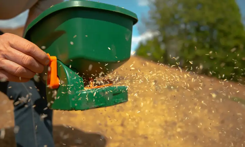 Landscaper using a grass seed spreader over soil.