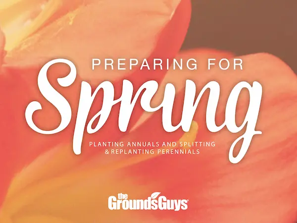 Preparing for Spring: Planting Annuals and Splitting & Replanting Perennials.