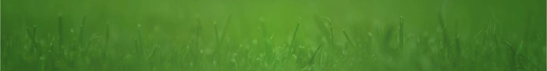 grass header background