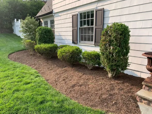 Residential yard with mulch in plant bed