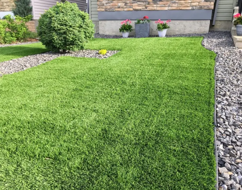 Residential lawn with artificial turf.