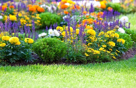 Commercial flower bed with brightly colored flowers.