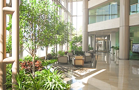 Interior commercial landscaping in lobby of office building.