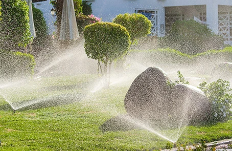 Sprinklers spraying water on trees, lawn and bushes.