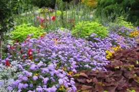 A colourful flower bed with a variety of vibrant flowers.