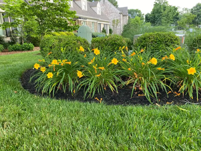 Trench flower bed edging