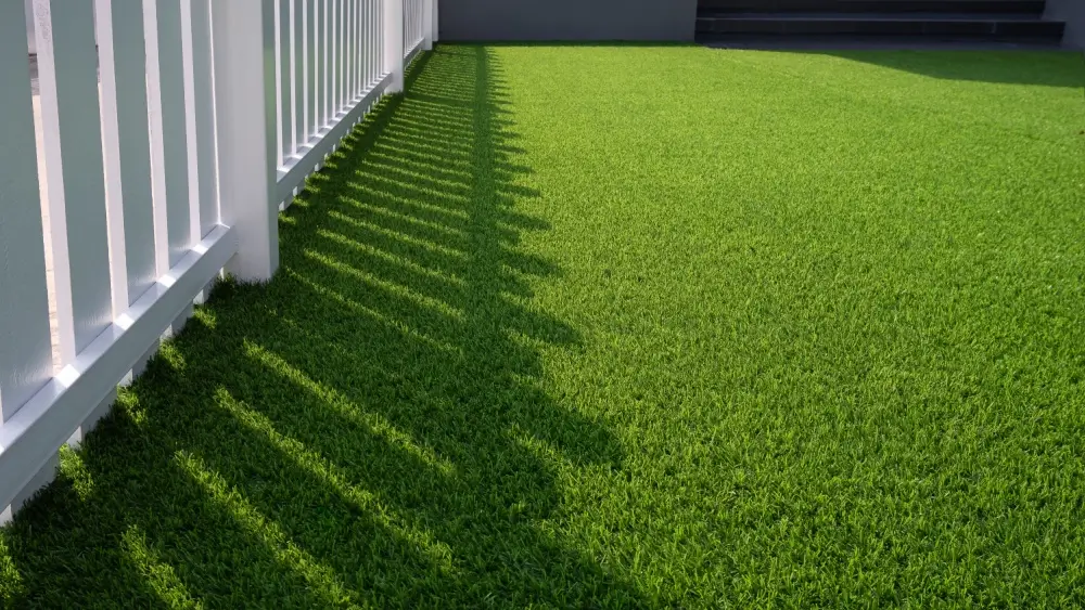 Artificial turf lawn in the sun.