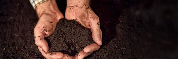 person holding dirt in hands