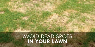 Lawn with text: "Avoid dead spots in your lawn"