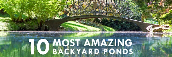 10 Most Amazing Backyard Ponds.