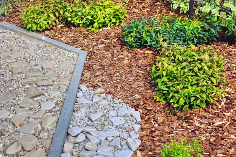 Plant bed with mulch and landscape stones