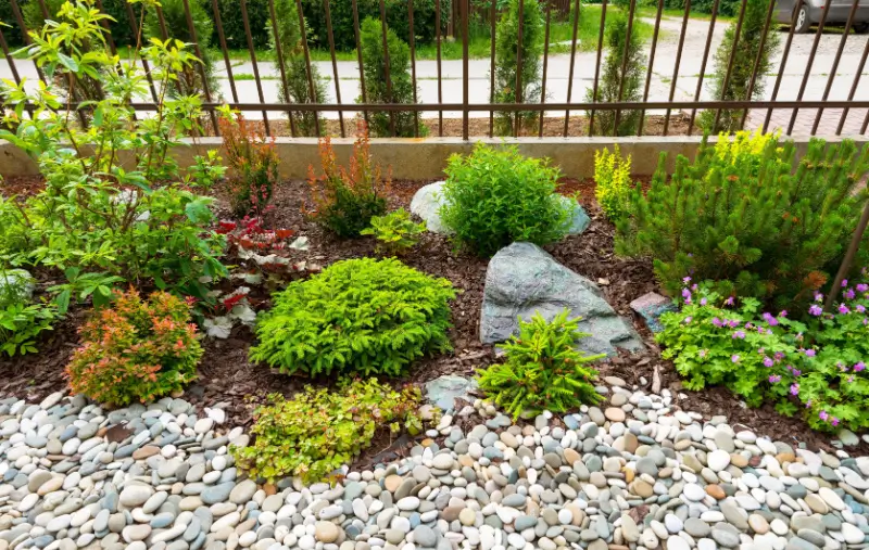 Rocks and stones in a garden bed
