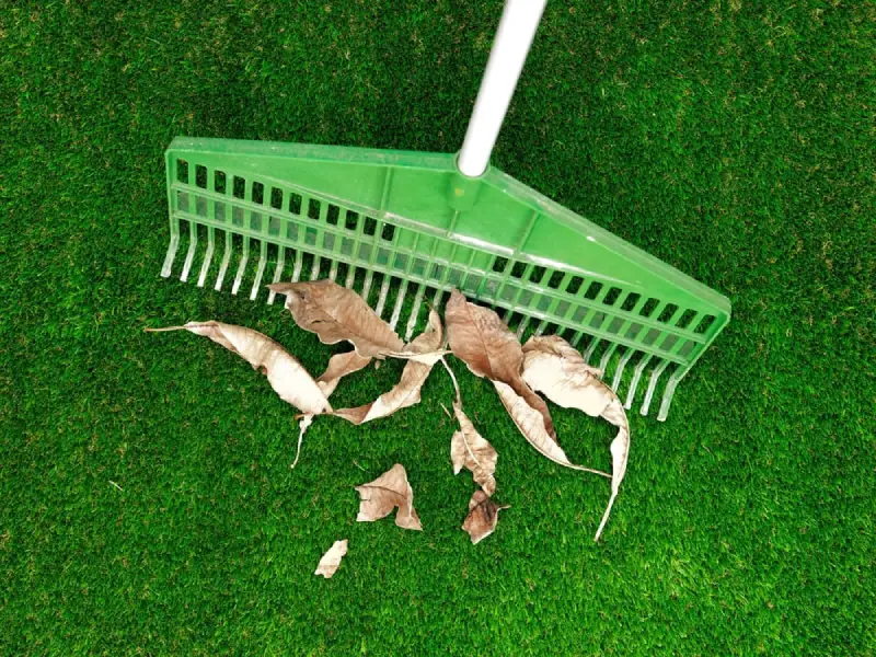 Rake pulling leaves on artificial grass