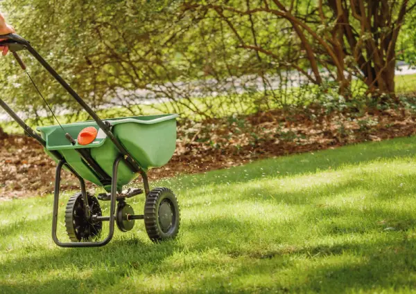 Landscaper applying fertilizer to lawn.