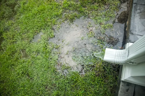 Puddle of water on grass from poor gutter drainage