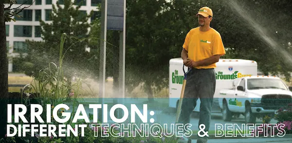 Irrigation: Different Techniques & Benefits.