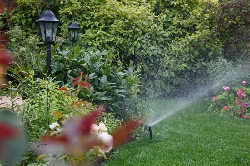Automatic sprinkler system watering grass.