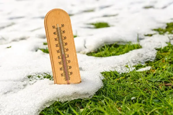 Thermometer in grass covered in snow