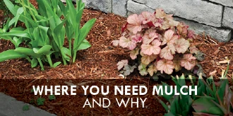 Garden and mulch with text: "Where you need mulch and why"