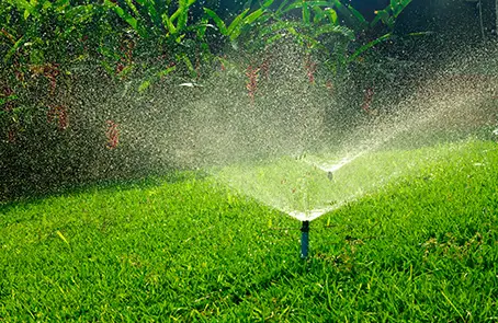 Sprinkler head embedded in lawn spraying water over grass.