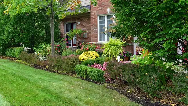The front yard of a home with a colorful flower bed and well-kept lawn.