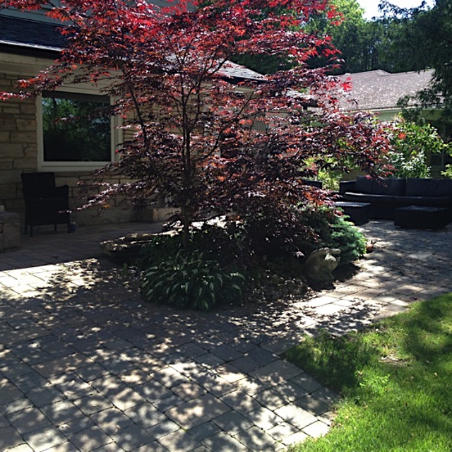 A garden with a stone pathway around.
