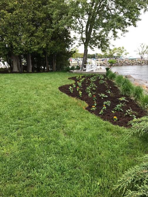 Backyard plant bed