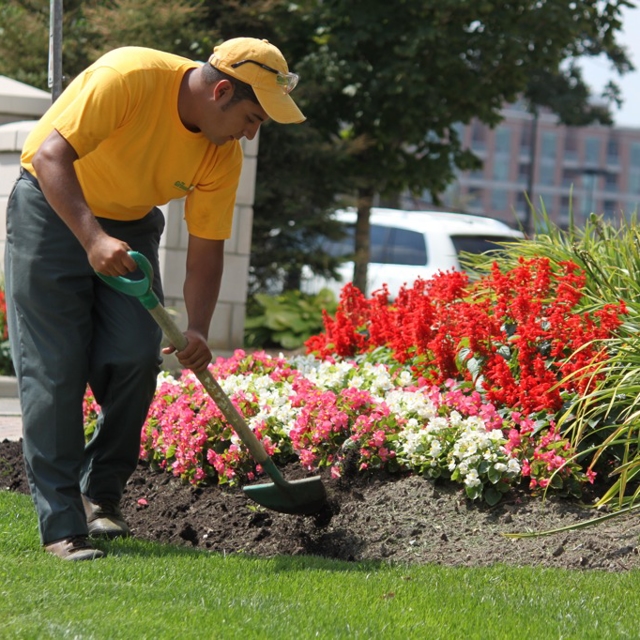 Grounds Guys Gardening