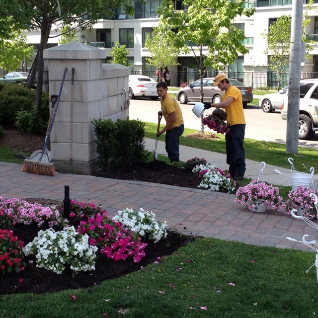 Grounds Guys Gardening