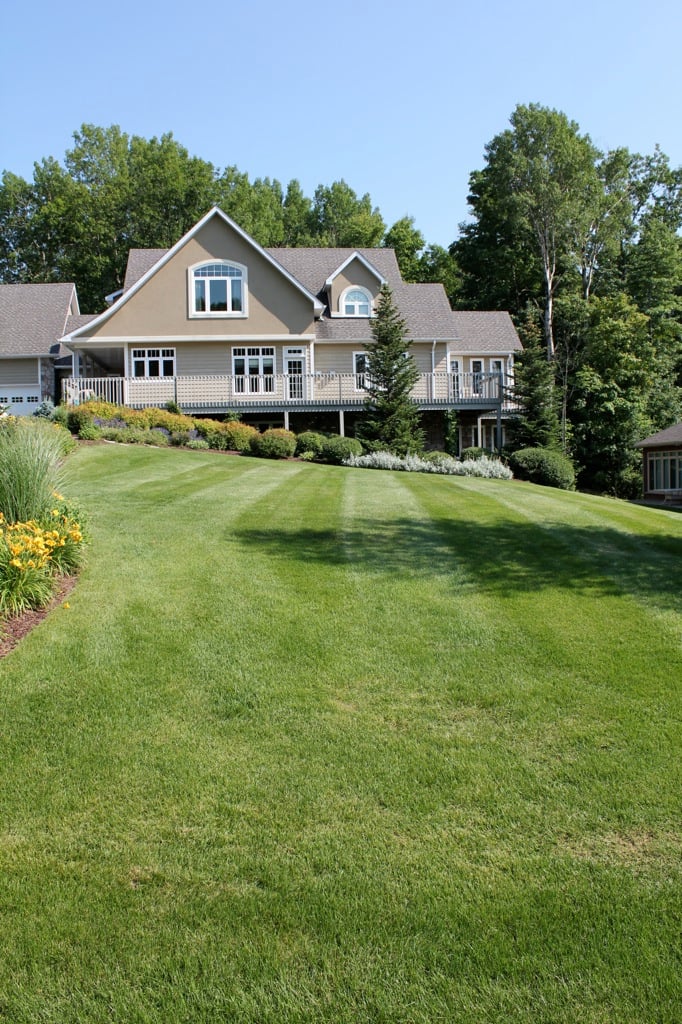 Mowed General lawn