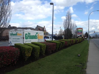 The Grounds Guys truck and trailer parked by trimmed hedges