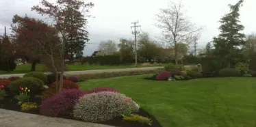 Landscape Design